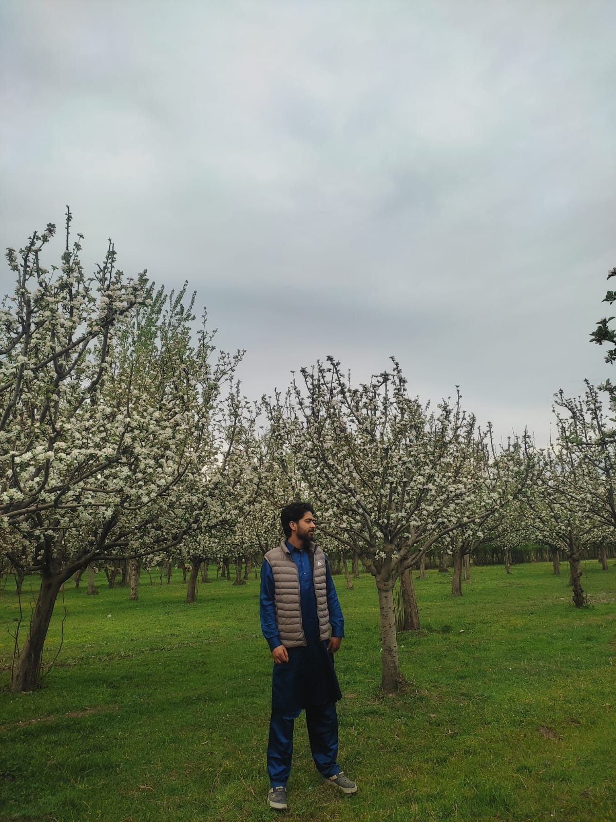 Looking Back: A Spring Day in the Apple Orchard